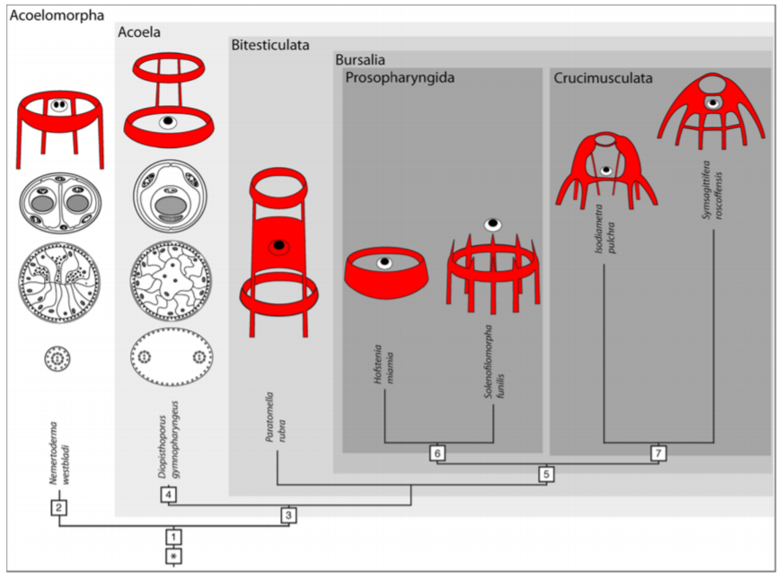 figure image